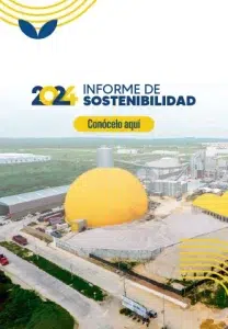 banner informe de gestion sostenibilidad responsive (1)