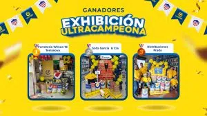 banner exbicion junior